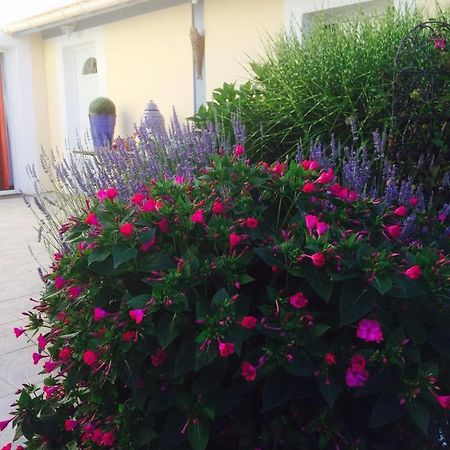 La Maison De Lilly Arcachon Dış mekan fotoğraf