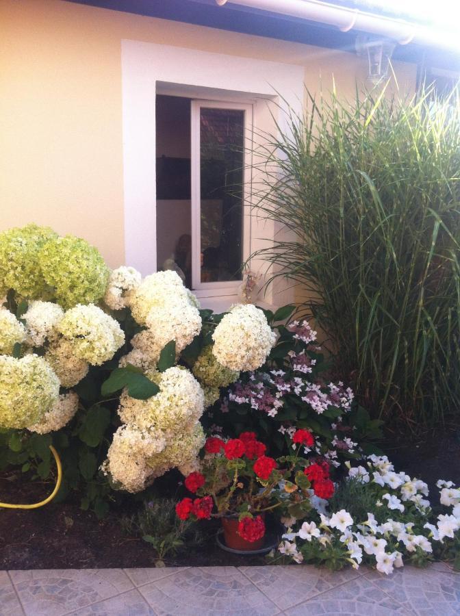 La Maison De Lilly Arcachon Dış mekan fotoğraf