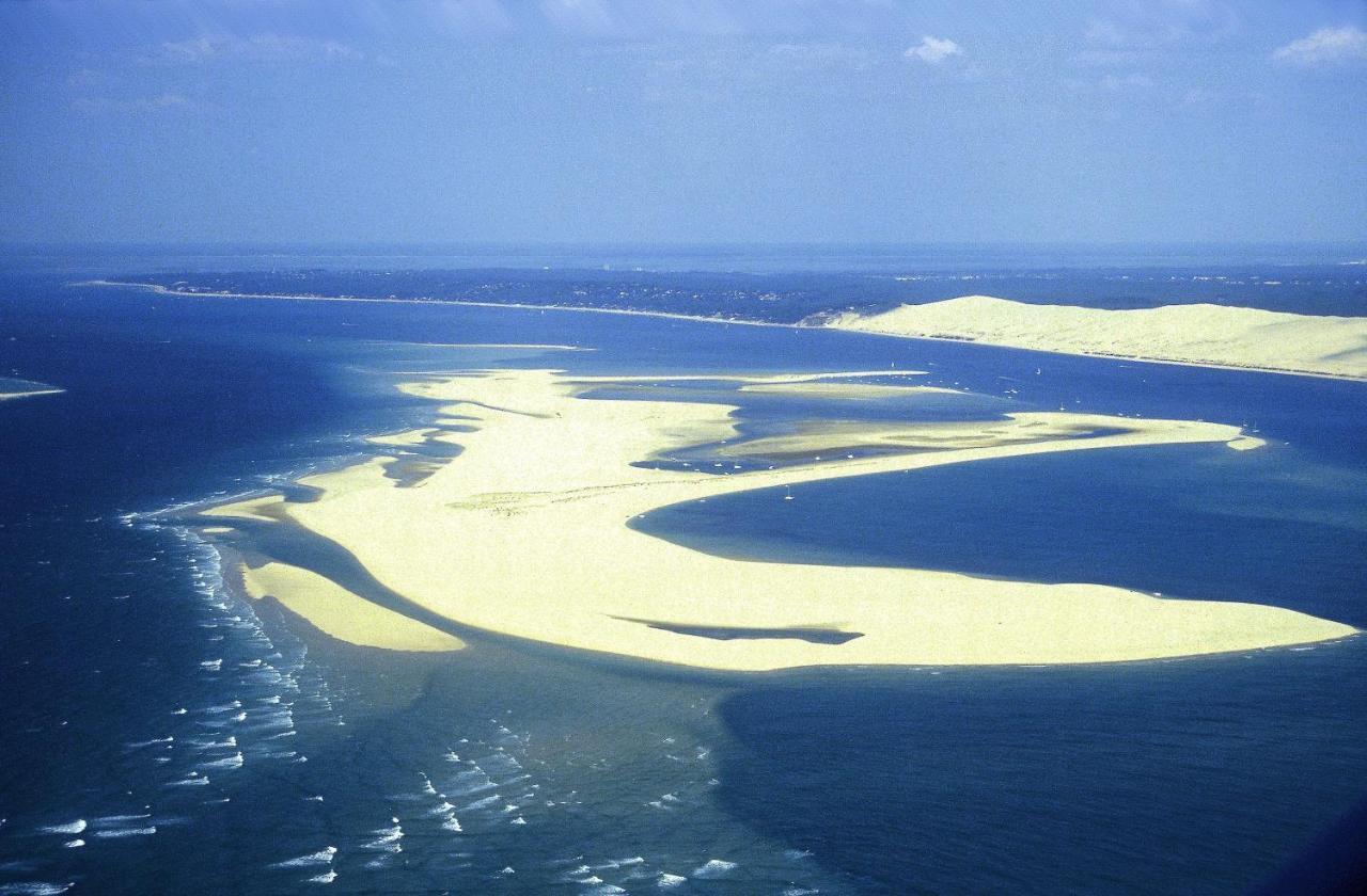 La Maison De Lilly Arcachon Dış mekan fotoğraf