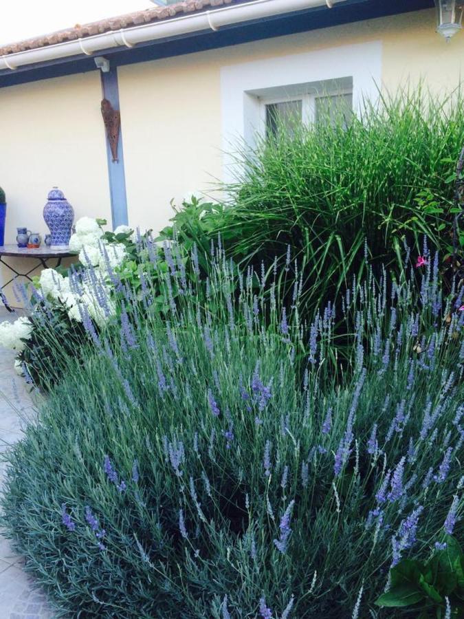 La Maison De Lilly Arcachon Dış mekan fotoğraf